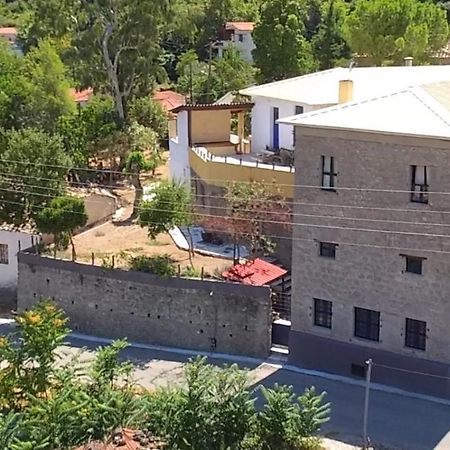 The Old Olive Mill House Villa Aegae Екстериор снимка