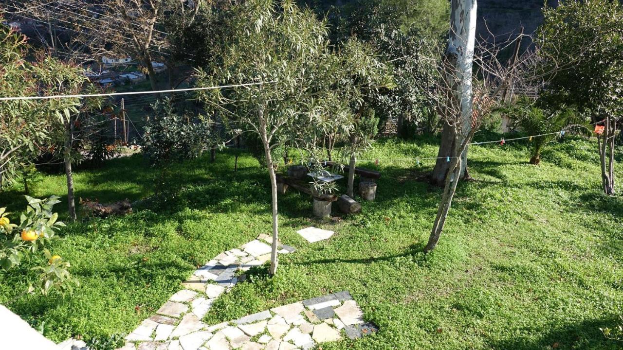 The Old Olive Mill House Villa Aegae Екстериор снимка