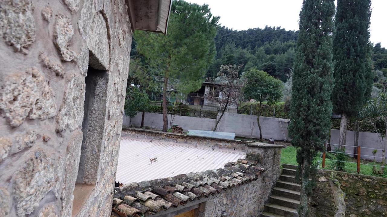 The Old Olive Mill House Villa Aegae Екстериор снимка