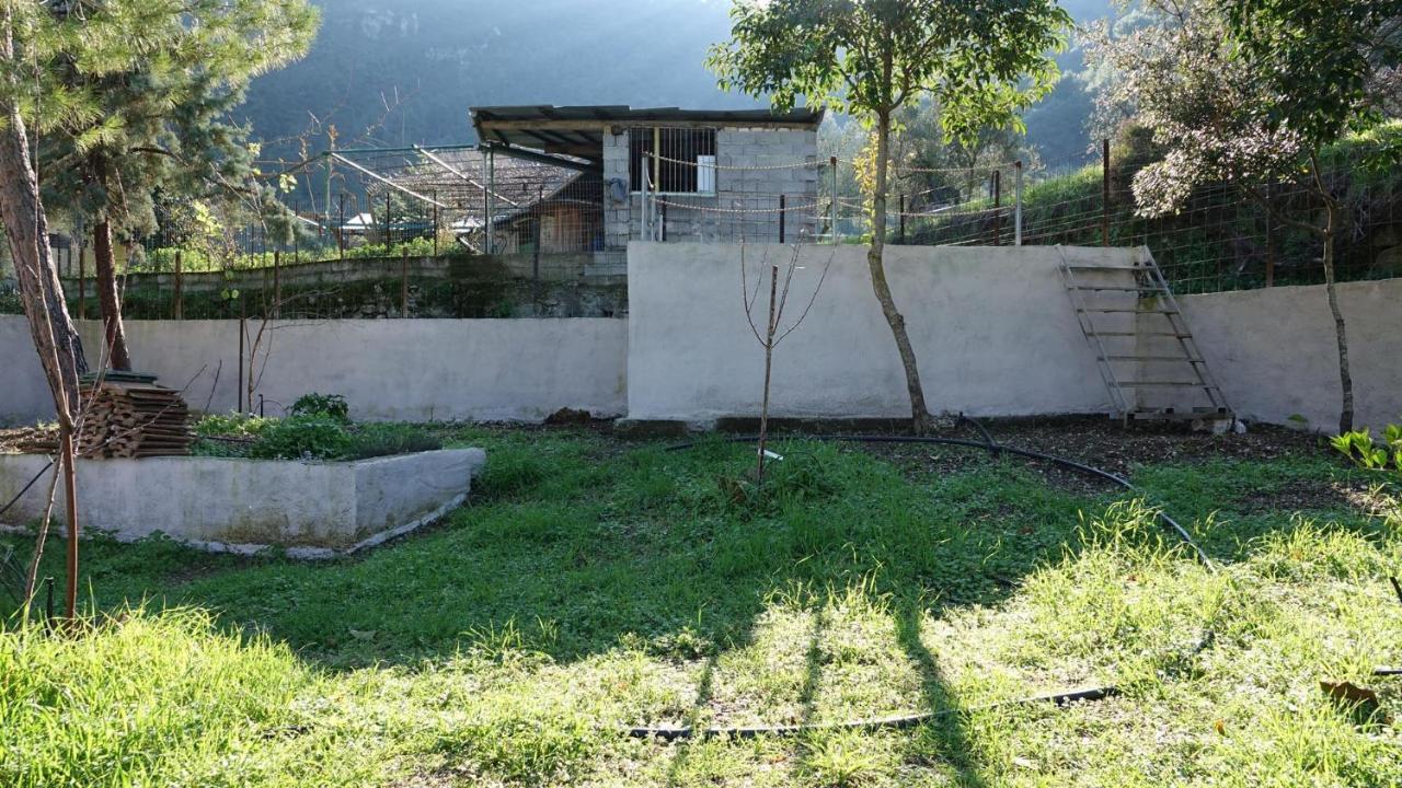 The Old Olive Mill House Villa Aegae Екстериор снимка
