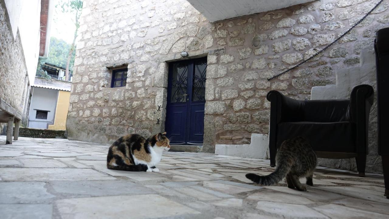 The Old Olive Mill House Villa Aegae Екстериор снимка